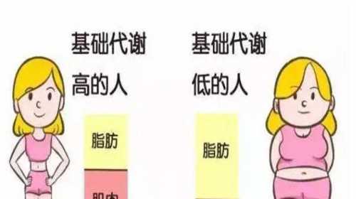 广州地下供卵陷阱,广州供卵试管婴儿中介_代孕医院中心