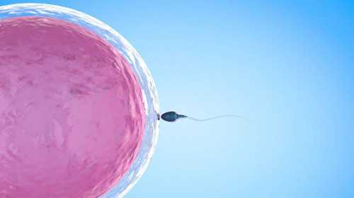 广州代孕孩子|试管婴儿胚胎移植时间由什么决定？