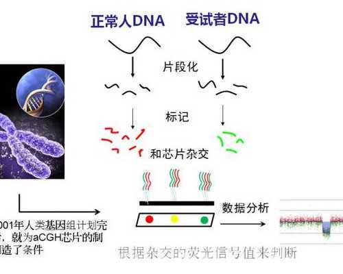 广州哪里的代孕医院好,男方弱精做人工受精还是试管婴儿(老公是弱精症人工授
