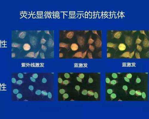 广州传承生殖中心是私立的还是[绝经可以怀孕吗],43岁做三代试管婴儿迟吗?需要