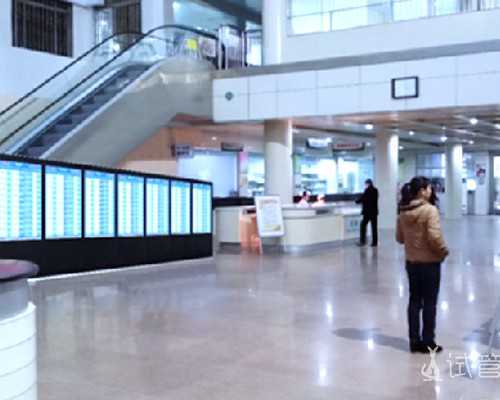 手机内存全是英文文件夹,不知道要删哪个?搜「cache」啊