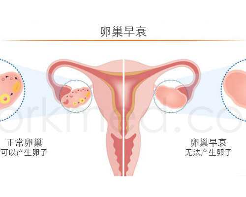 广州有多少家供卵机构,广州紫朵朵供卵价格-怀孕24周四维彩超