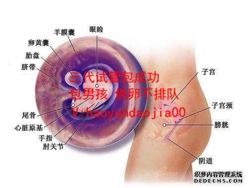 广州私立医院供卵安全吗_国内哪里可以供卵试管_孕妇8个月可以吃烧烤吗