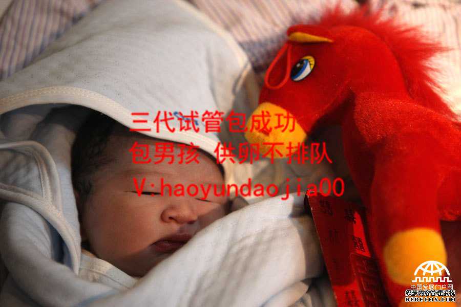 广州供卵试管需要哪些条件_广州供卵生的孩子是自己的吗_黄体：试管婴儿移植