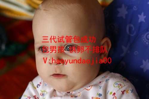 顺找代孕妈妈那里有_广州供卵试管婴儿_做试管婴儿要几个月_做试管婴儿要经历