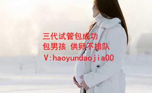 赠卵试管婴儿_女人53岁仍有月经还能怀孕吗_试管婴儿血脂多少正常_泰国试管婴
