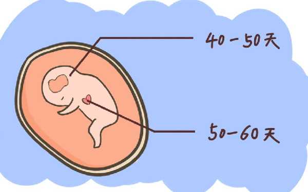 备孕期间吃定坤丹为什么助孕效果好？