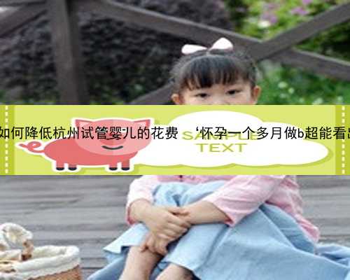 杭州找代怀女人 如何降低杭州试管婴儿的花费 ‘怀孕一个多月做b超能看出来男